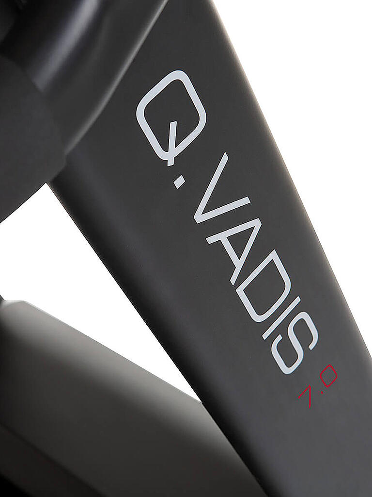 HAMMER | Laufband Q. Vadis 7.0 | keine Farbe