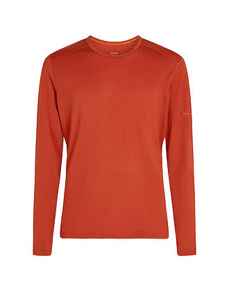 ICEBREAKER | Herren Funktionsshirt Merino 200 Oasis LS