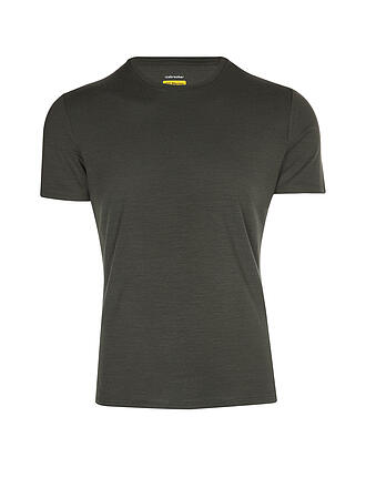 ICEBREAKER | Herren Funktionsshirt Anatomica Crewe BF 150