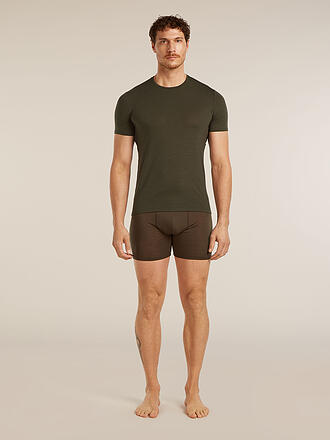 ICEBREAKER | Herren Funktionsshirt Anatomica Crewe BF 150