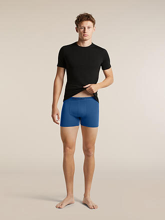 ICEBREAKER | Herren Funktionsshirt Anatomica Crewe BF 150