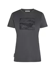 ICEBREAKER | Damen Funktionsshirt Lake View 150 Tech-Lite | grau