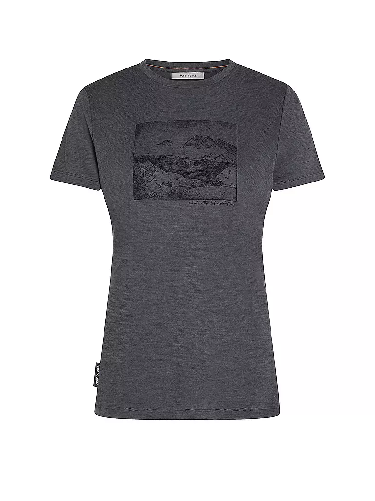 ICEBREAKER | Damen Funktionsshirt Lake View 150 Tech-Lite | grau