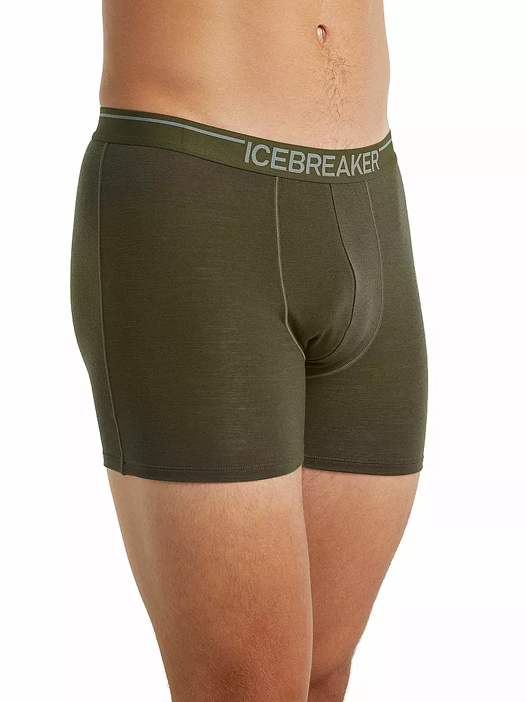 ICEBREAKER | Herren Boxershort Merino Anatomica | olive