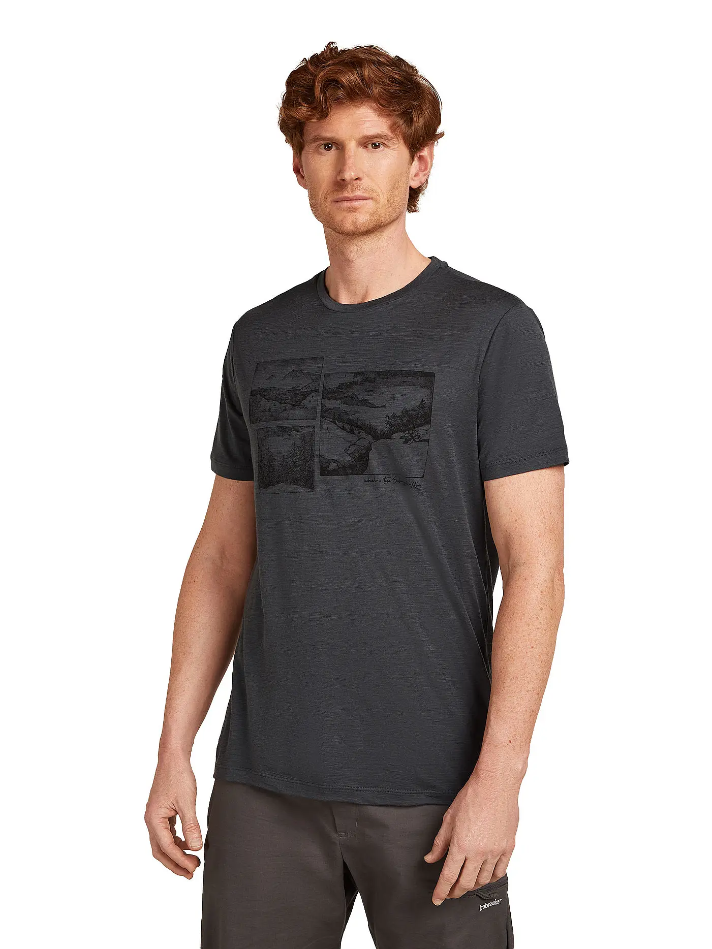 ICEBREAKER | Herren Funktionsshirt Journey 150 Tech | grau