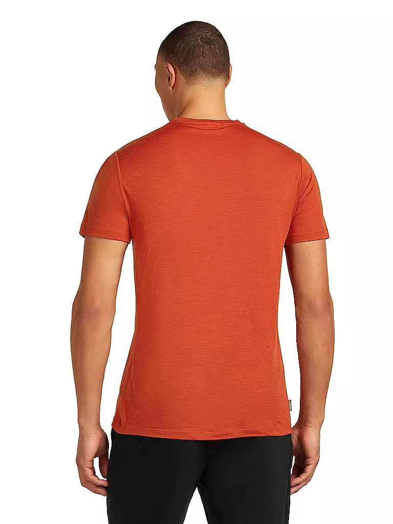 ICEBREAKER | Herren Funktionsshirt Mount Pulse 150 Tech | petrol