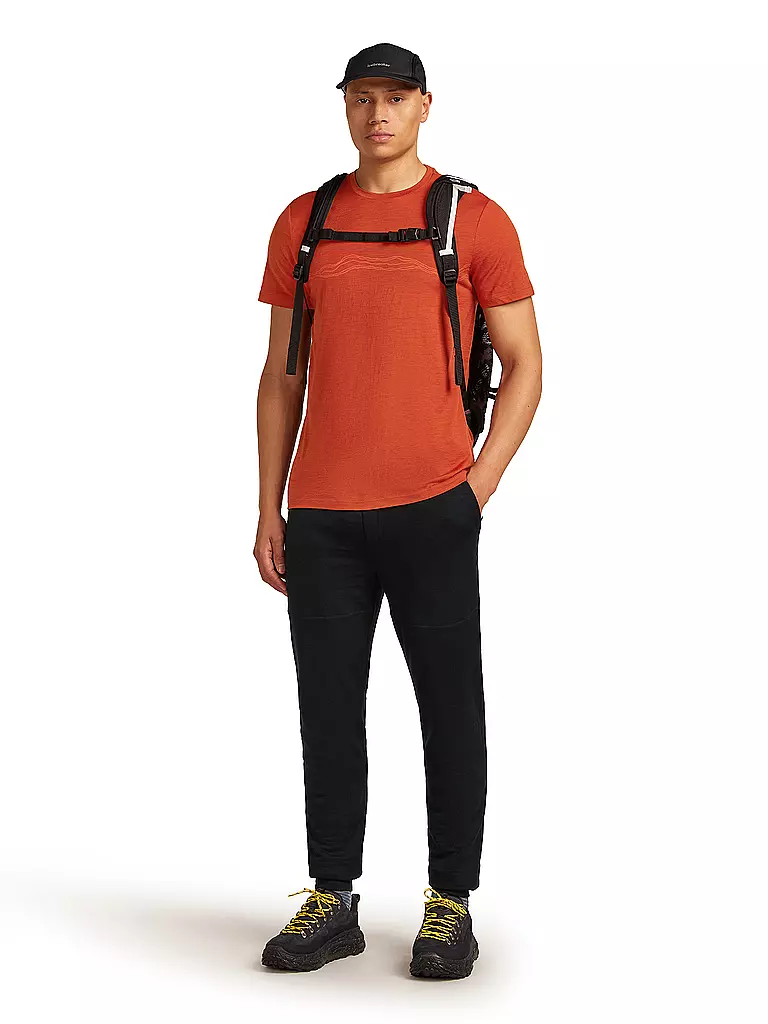 ICEBREAKER | Herren Funktionsshirt Mount Pulse 150 Tech | petrol