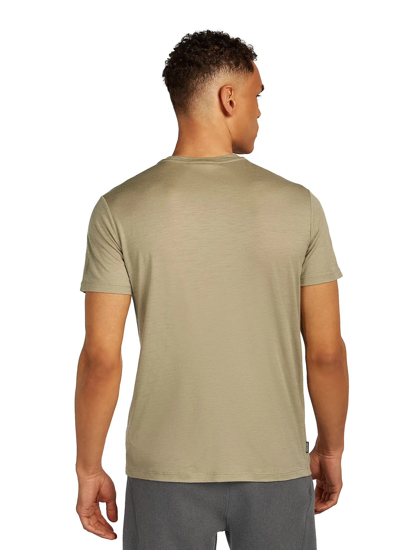 ICEBREAKER | Herren Funktionsshirt Summit 150 Tech | beige