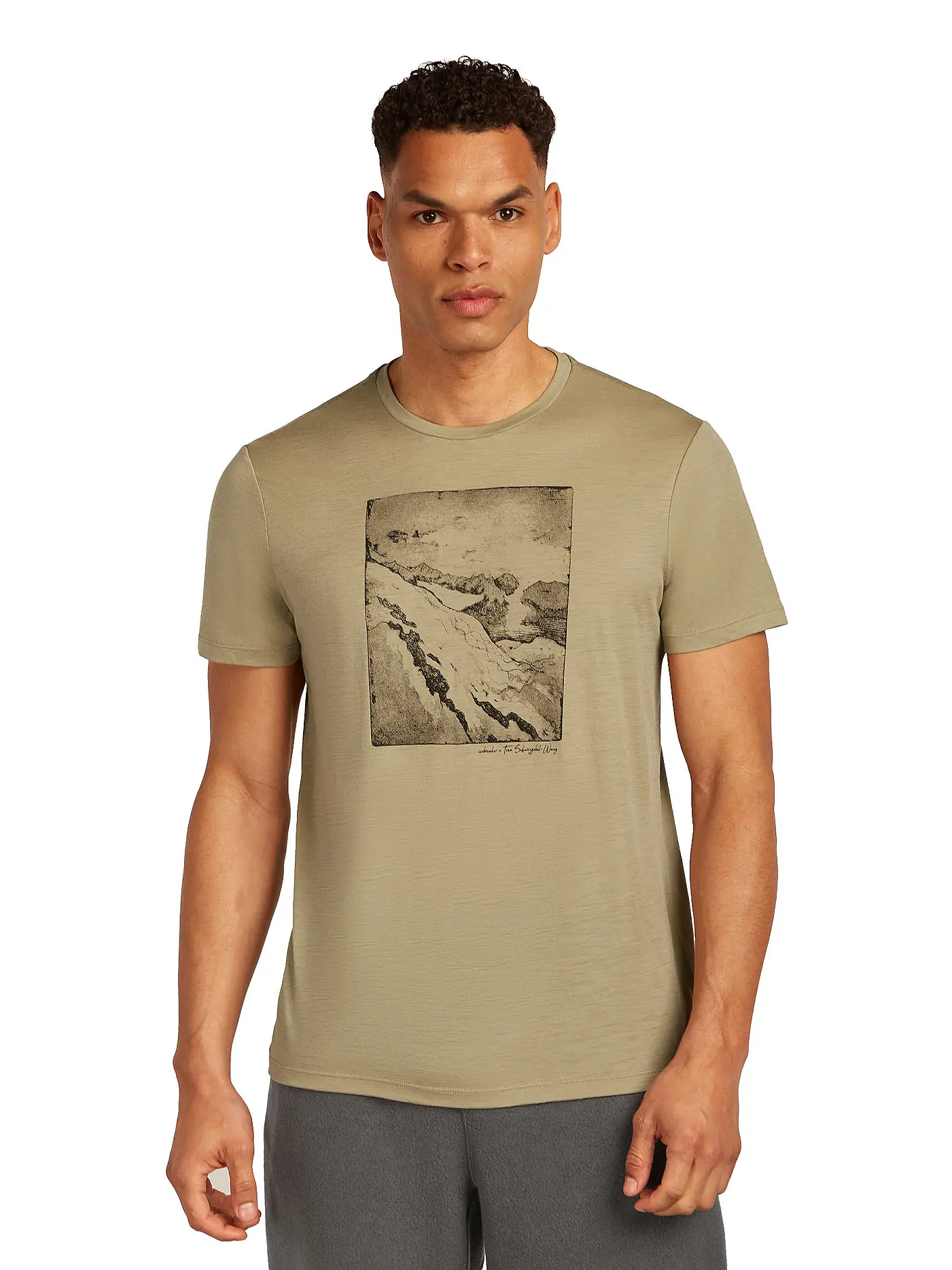 ICEBREAKER | Herren Funktionsshirt Summit 150 Tech | beige