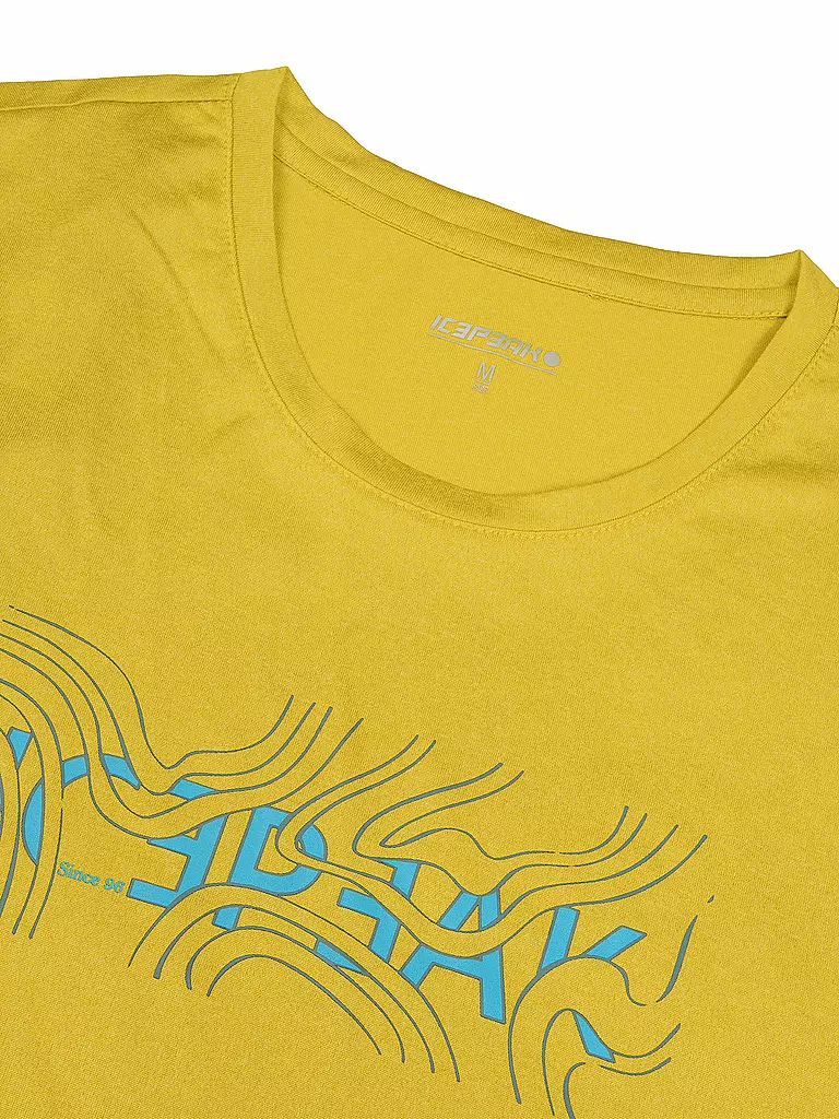 ICEPEAK | Herren Funktionsshirt Bearden | 