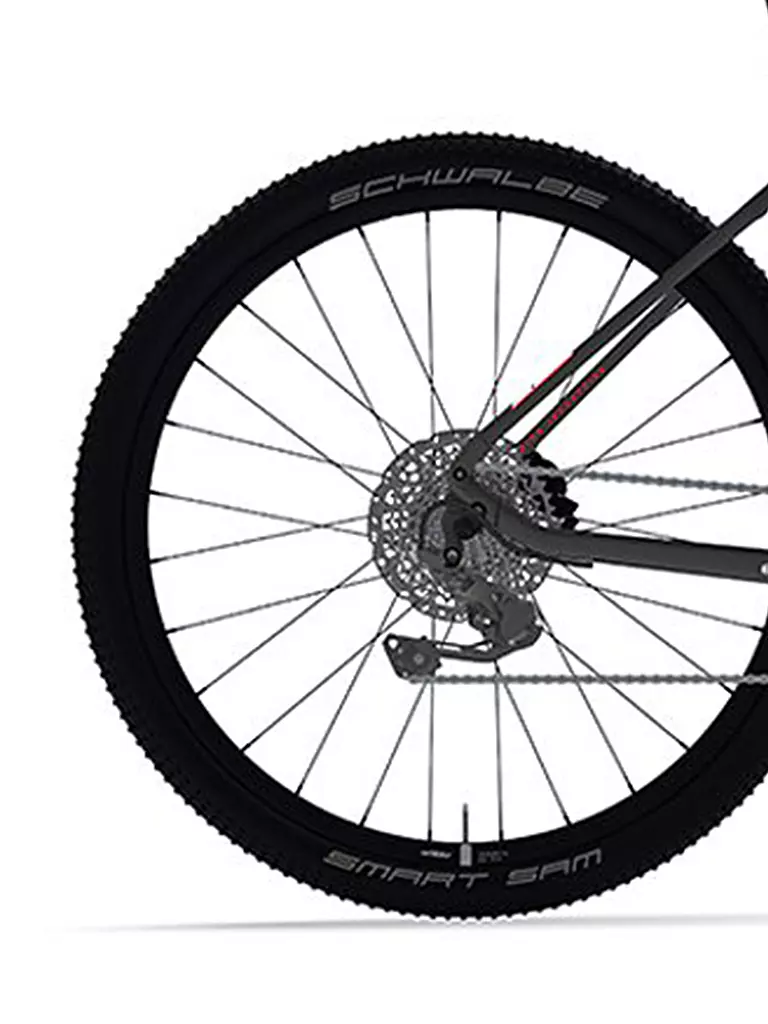 KTM | Herren E-Bike Macina Ecross Pro LTD | schwarz