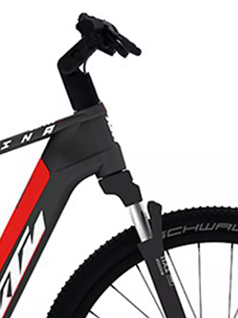 KTM | Herren E-Bike Macina Ecross Pro LTD | schwarz