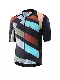 LÖFFLER | Herren Radtrikot Statement FZ | Schwarz