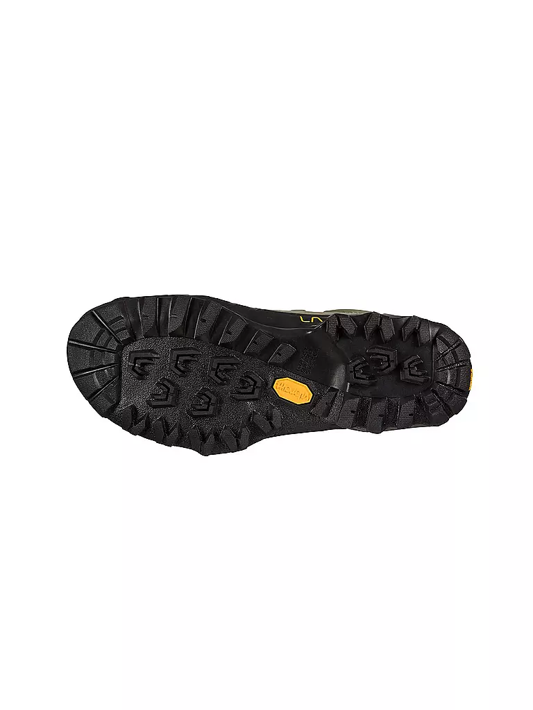 LA SPORTIVA | Damen Zustiegsschuhe Tx5 Low GTX | grau