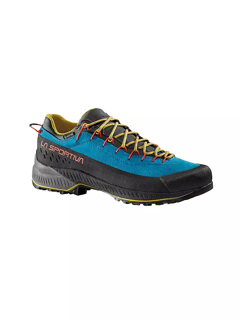 LA SPORTIVA | Herren Zustiegsschuhe TX4 EVO GTX | schwarz