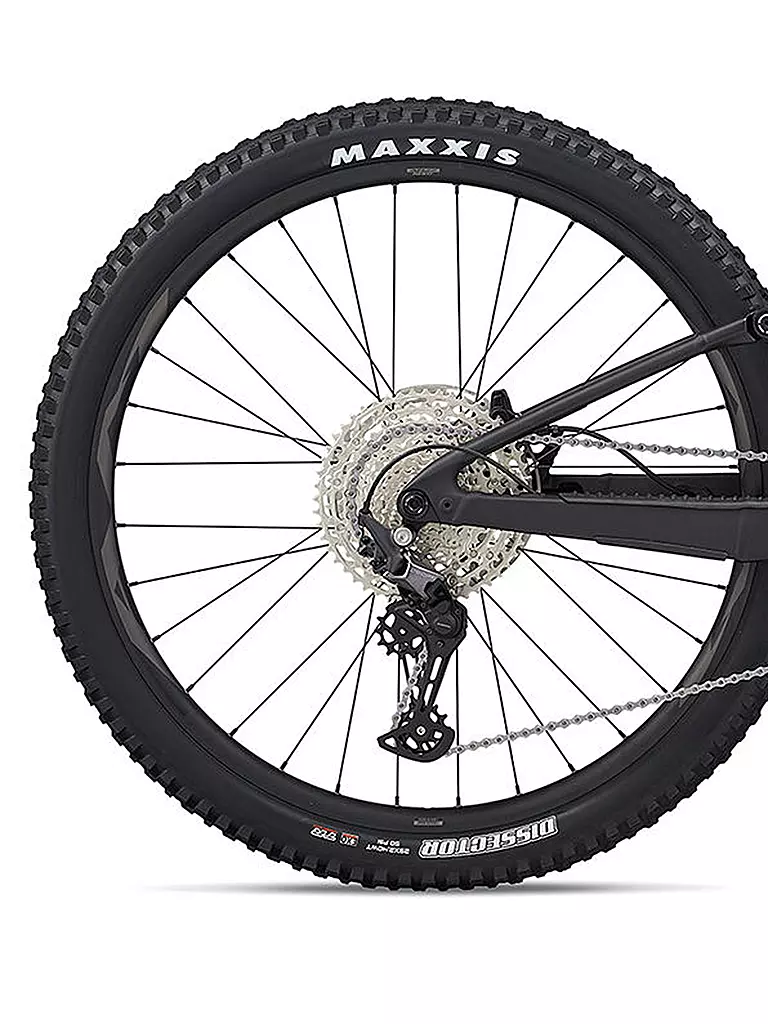 LIV by GIANT | Damen E-Mountainbike Embolden E+ Pro | schwarz