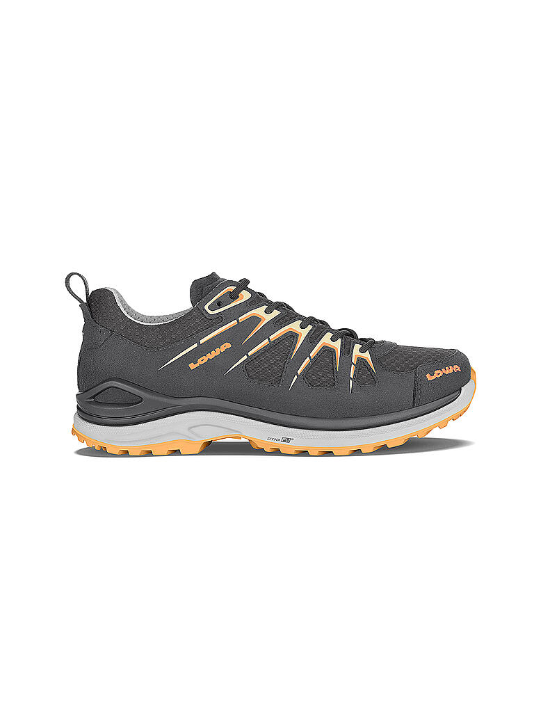 LOWA | Damen Multifunktionsschuhe Innox Evo GTX LO Ws | grau