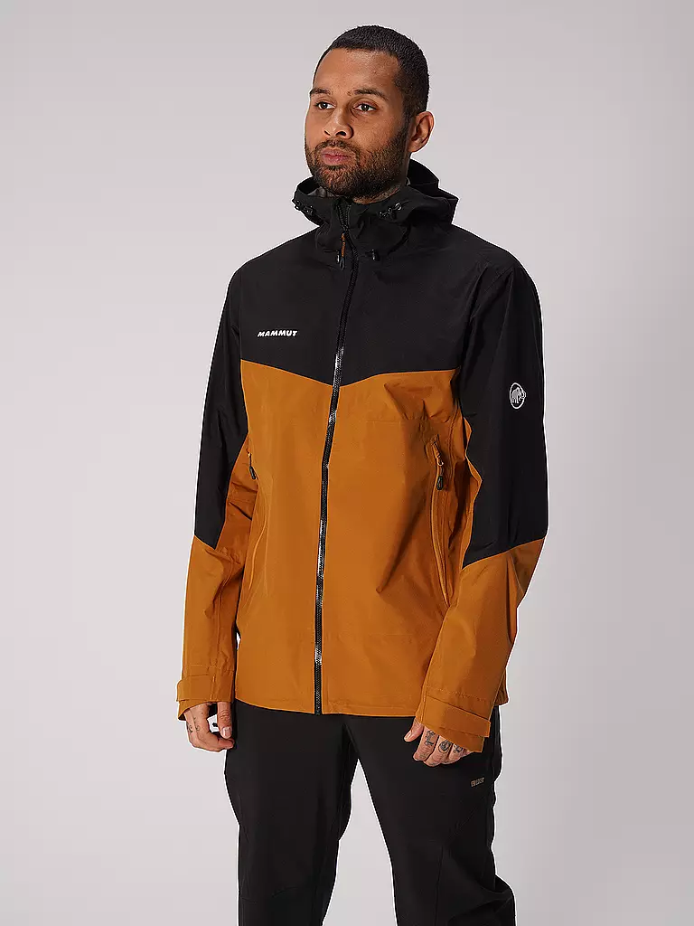 PATAGONIA Herren Wanderjacke Ascensionist GORE-TEX Active Grün
