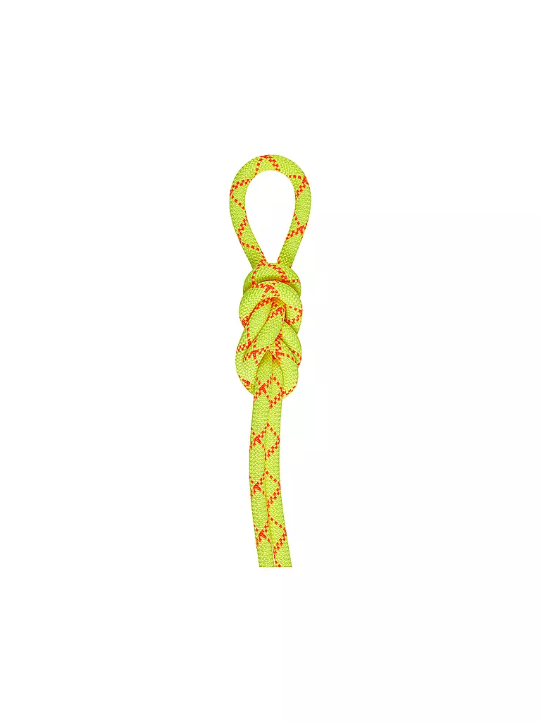MAMMUT | Kletterseil 9,5 Alpine COre Protect Dry Rope 70M | gelb