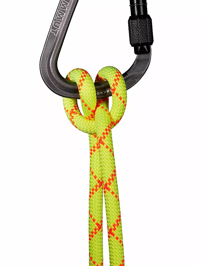 MAMMUT | Seil 9.5 Alpine Core Protect Dry Rope | gelb