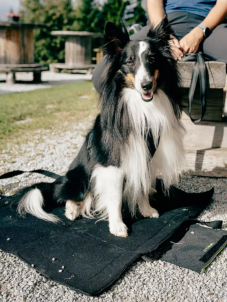 MAMO PET SPORTS | Active Dog Base | schwarz