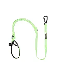 MAMO PET SPORTS | Hundeleine Alu Karabiner versperrbar 150/2cm | Grün