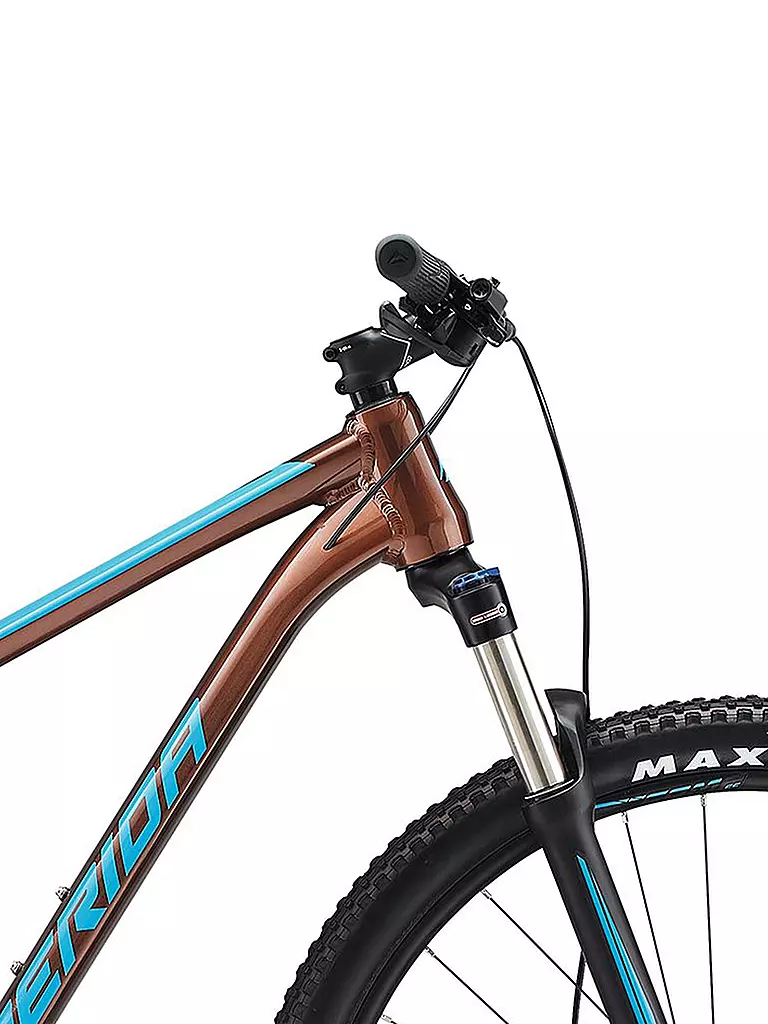 MERIDA | Mountainbike 29" BIG.NINE 100-3x | braun