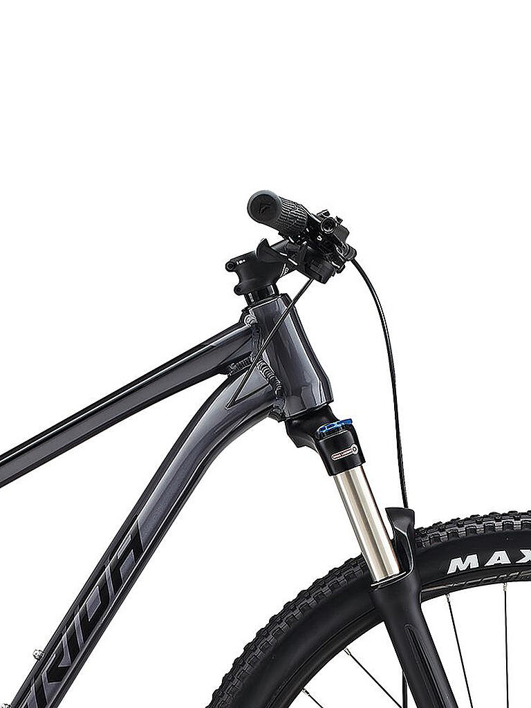 MERIDA | Mountainbike 29" BIG.NINE 300 2021 | grau