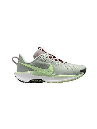 NIKE | Herren Traillaufschuhe Pegasus Trail 5