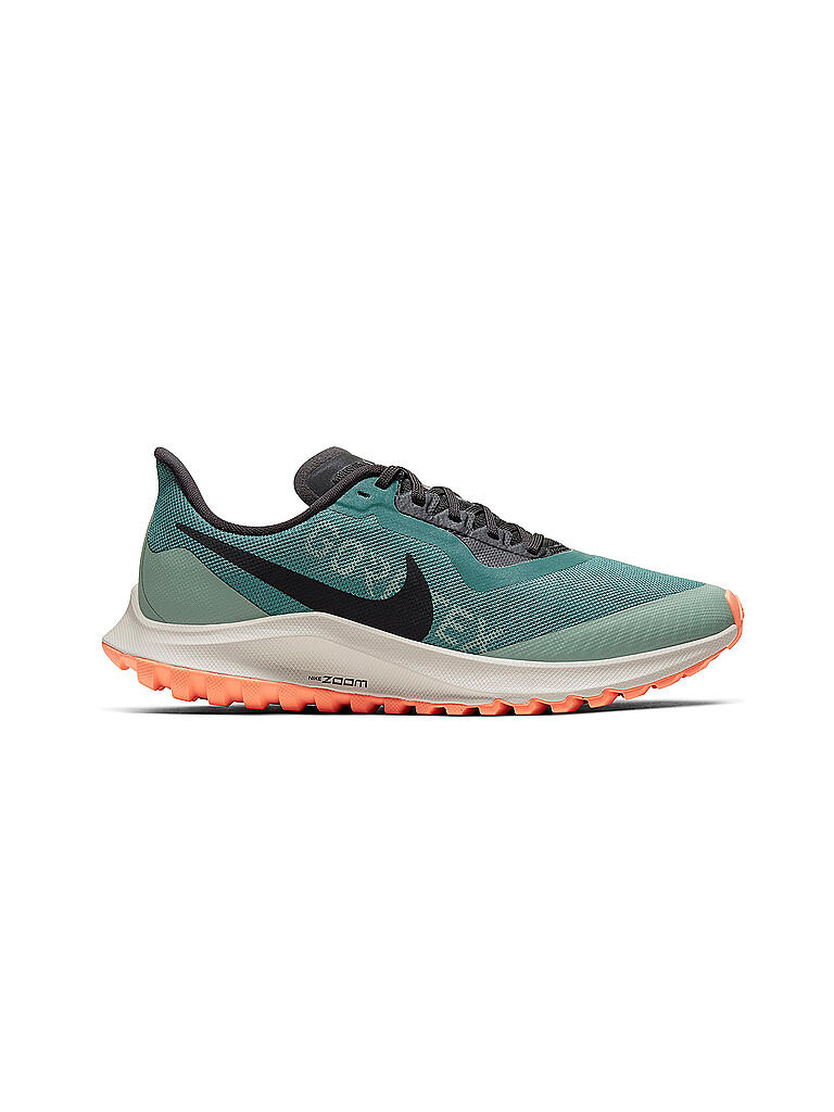 nike pegasus trail goretex women