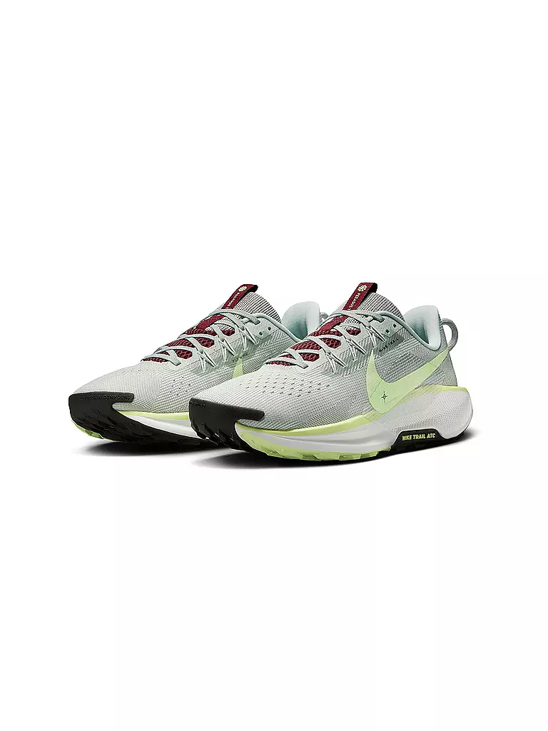 NIKE | Herren Traillaufschuhe Pegasus Trail 5 | beige