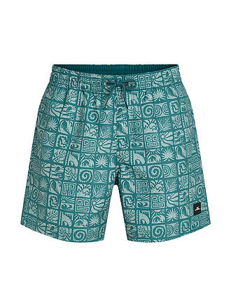 O'NEILL | Herren Beachshorts Print