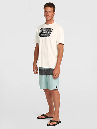 O'NEILL | Herren Beachshirt Graphic