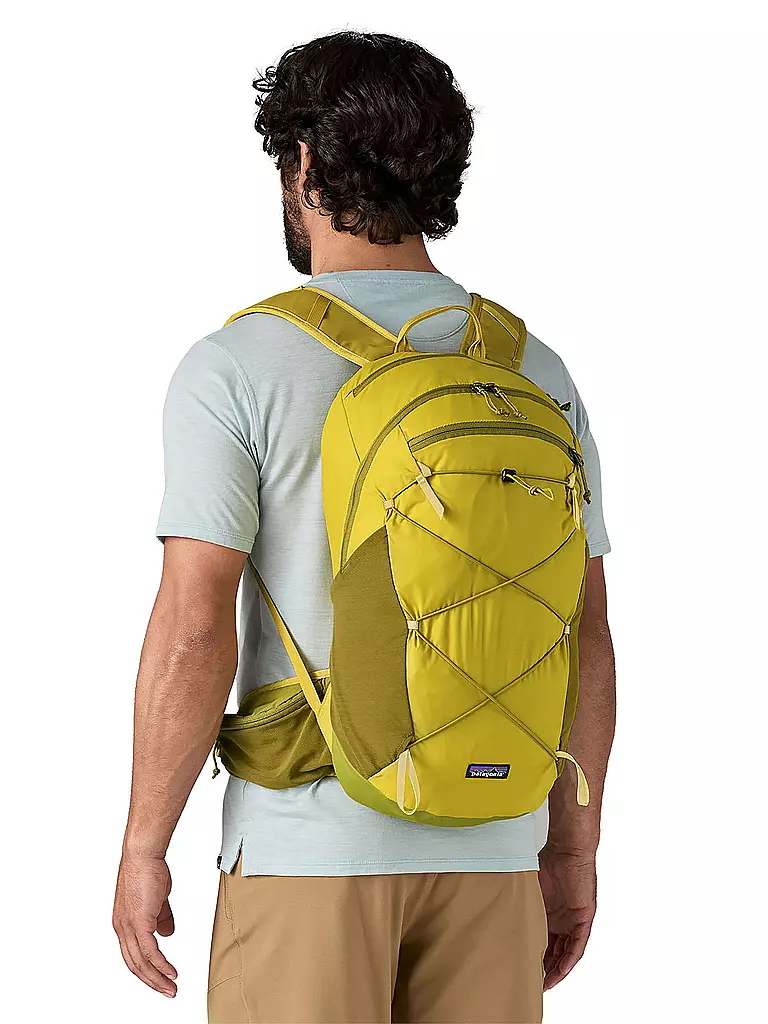 PATAGONIA | Tagesrucksack Terravia 22L | grün