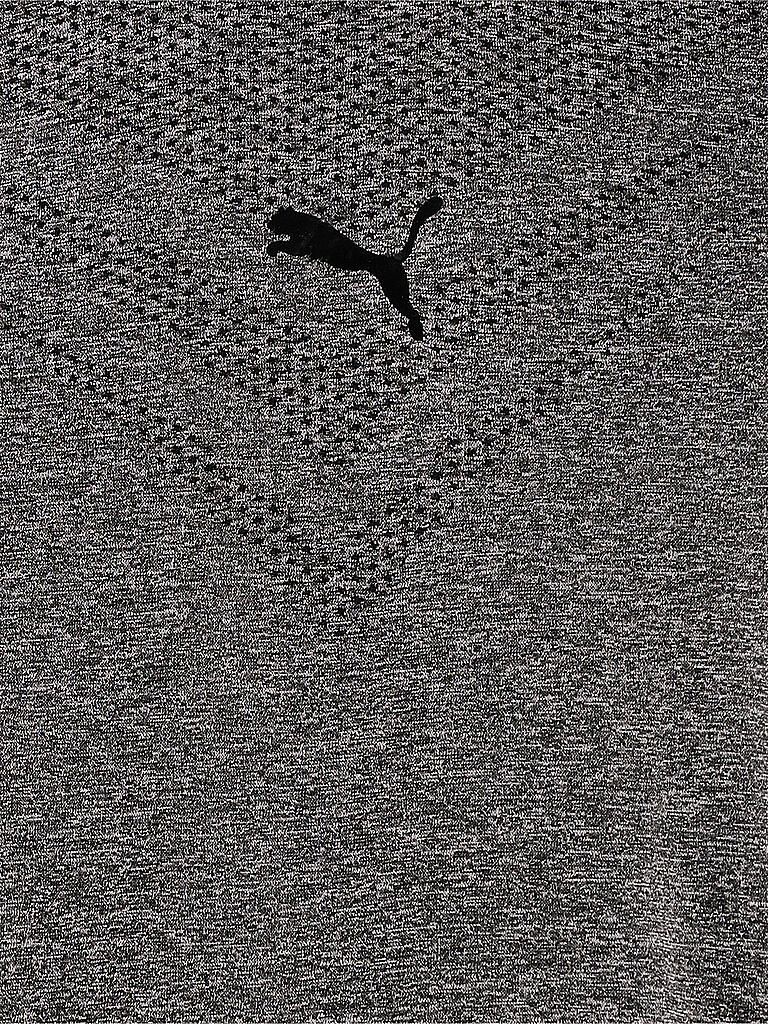 PUMA | Herren Fitnessshirt Train Tech Evoknit | schwarz
