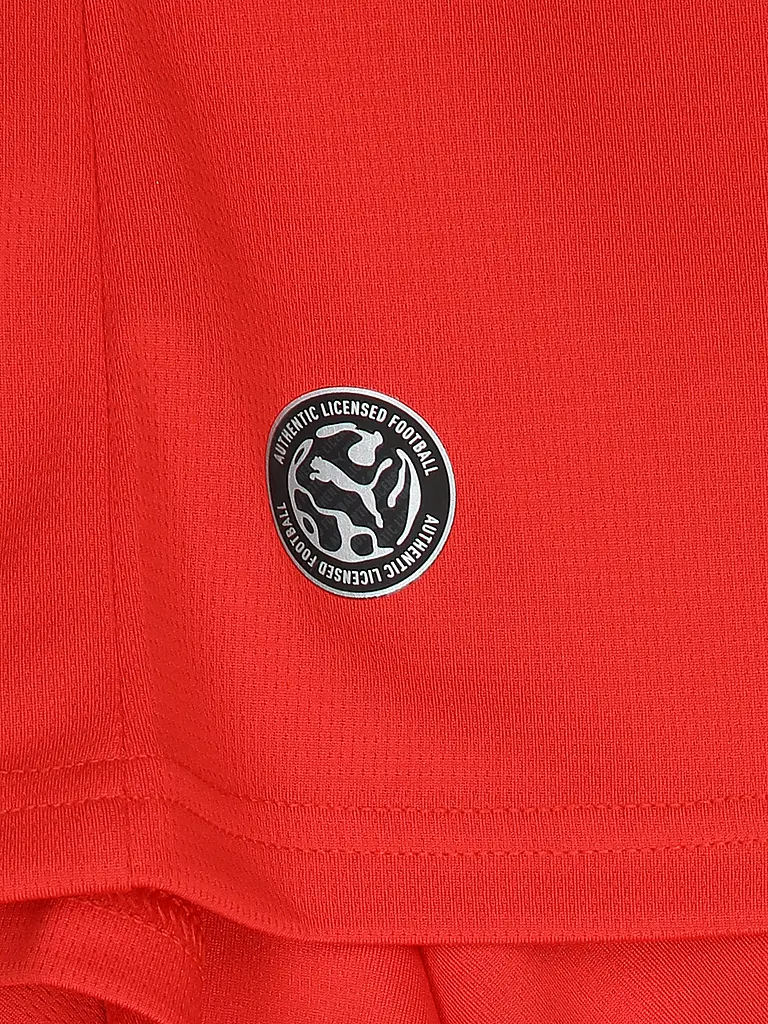 PUMA | Herren Fußballtrikot WM 2026 ÖFB Heim | 