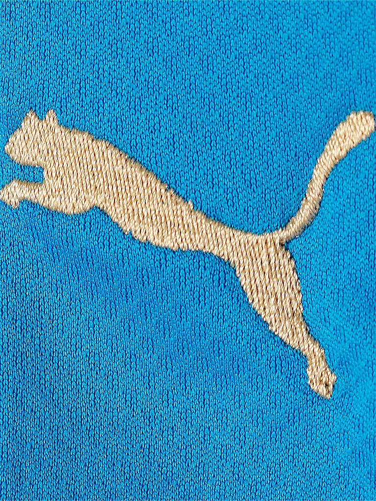 PUMA | Herren Heimtrikot Italien 22/23 | blau