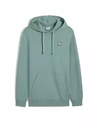 PUMA | Herren Hoodie Elevated | hellgrün