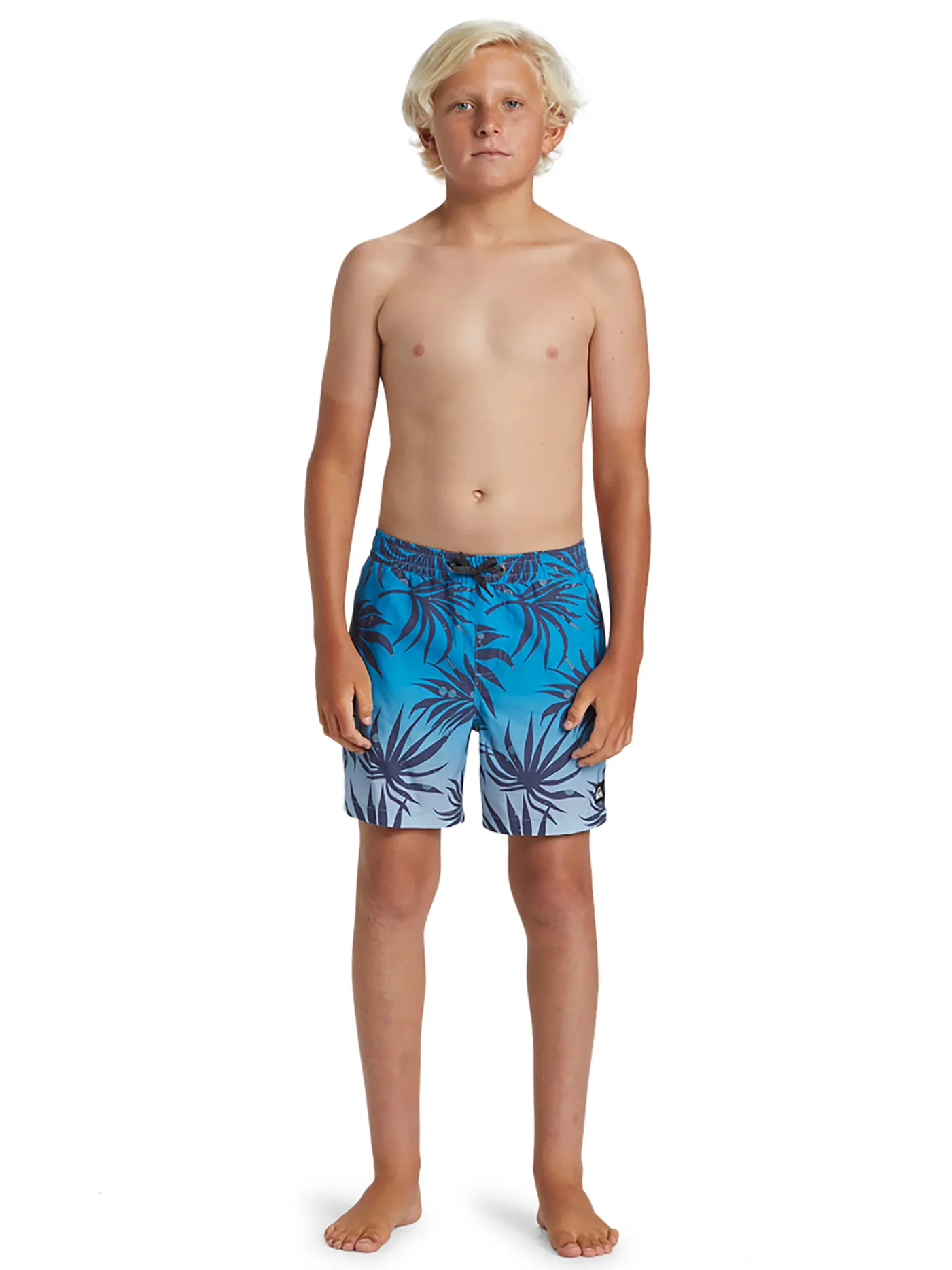 QUIKSILVER | Jungen Badeshort Everyday Mix Volley | blau