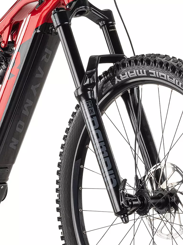 RAYMON | Herren E-Mountainbike 29