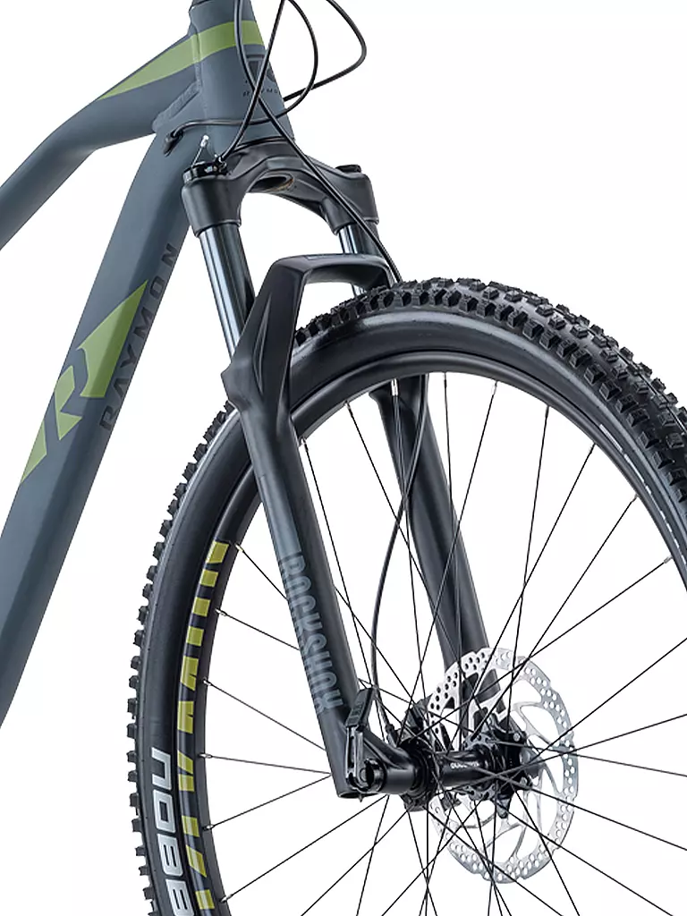 RAYMON | Mountainbike 29" HardRay Nine 6.5 | grau