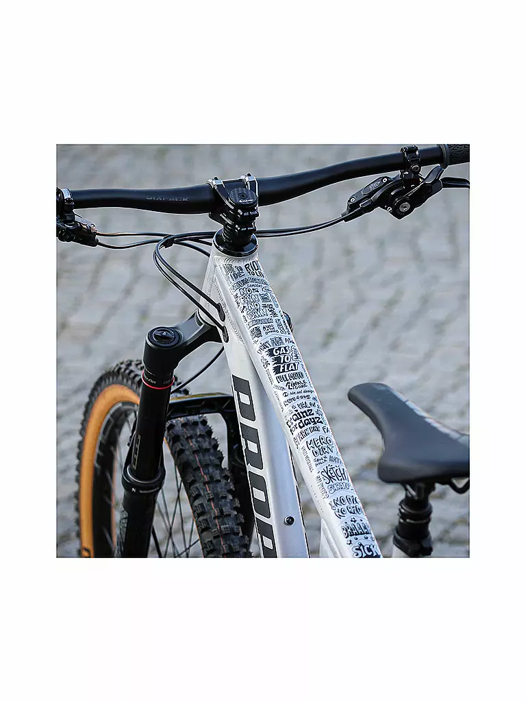 RIESEL DESIGN | frame:guard Slang | schwarz