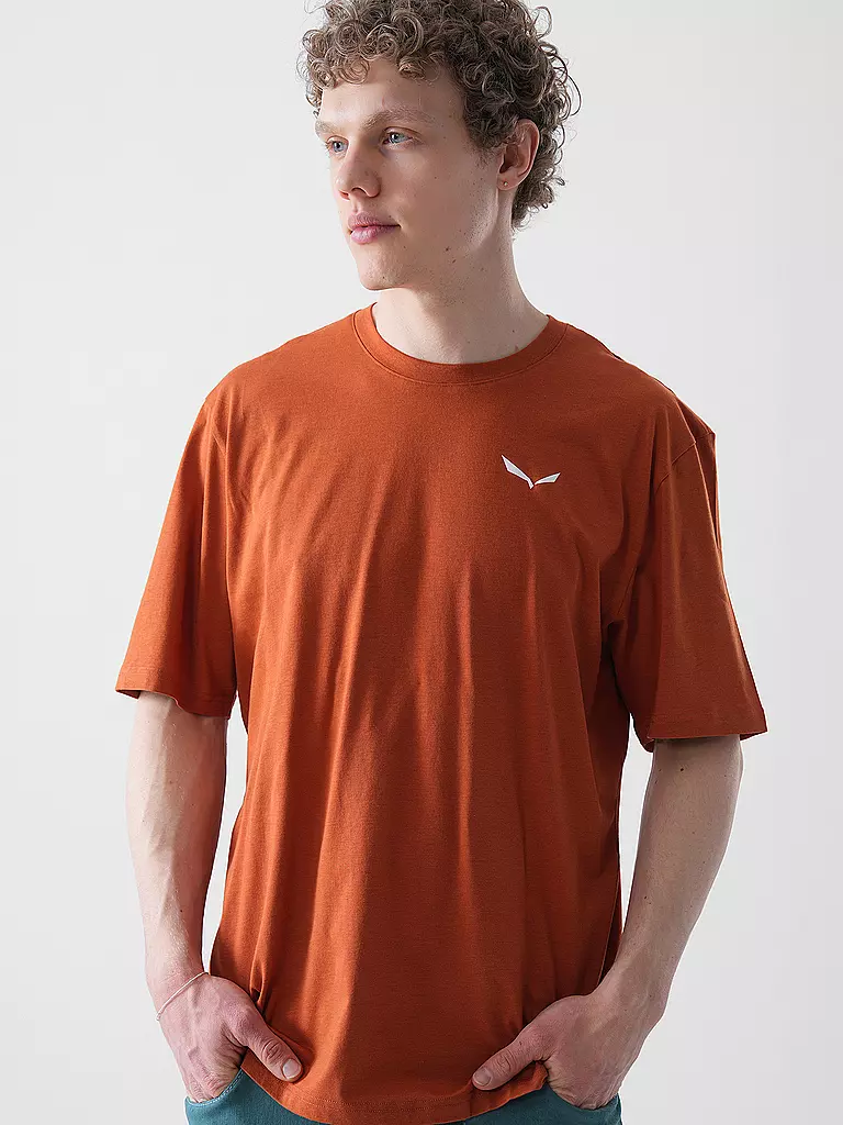 SALEWA | Herren Funktionsshirt Eagle Sunset Loose | beige