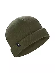 SALEWA | Mütze Puez Merino | olive