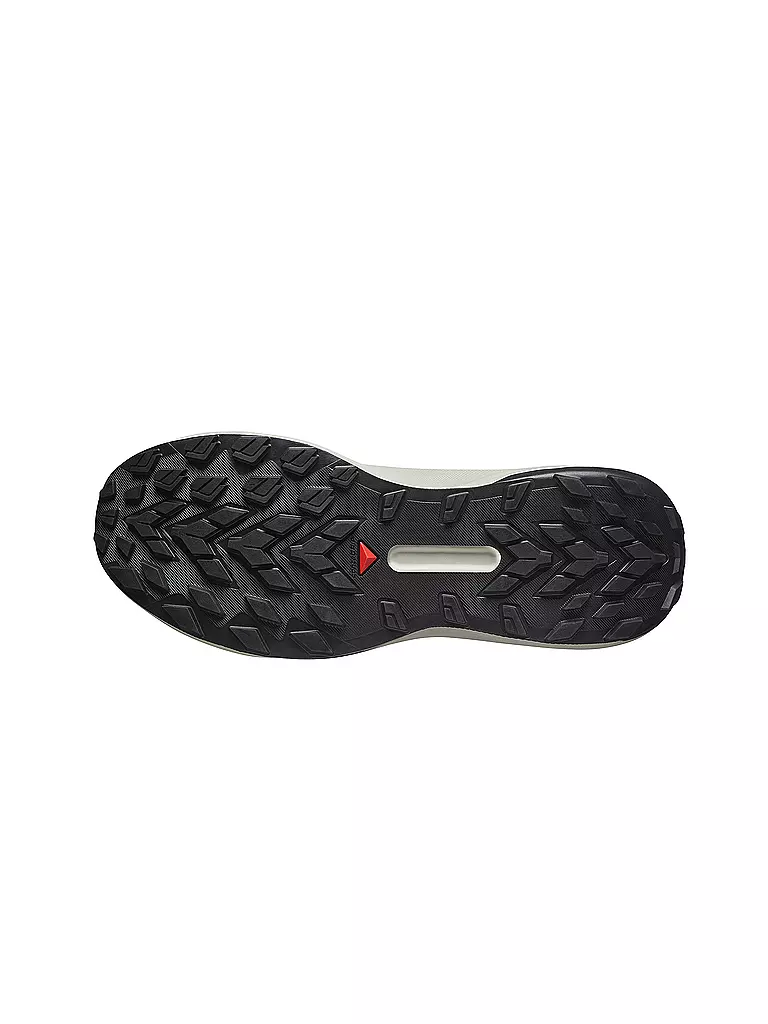 SALOMON |  Herren Traillaufschuhe Genesis | grau