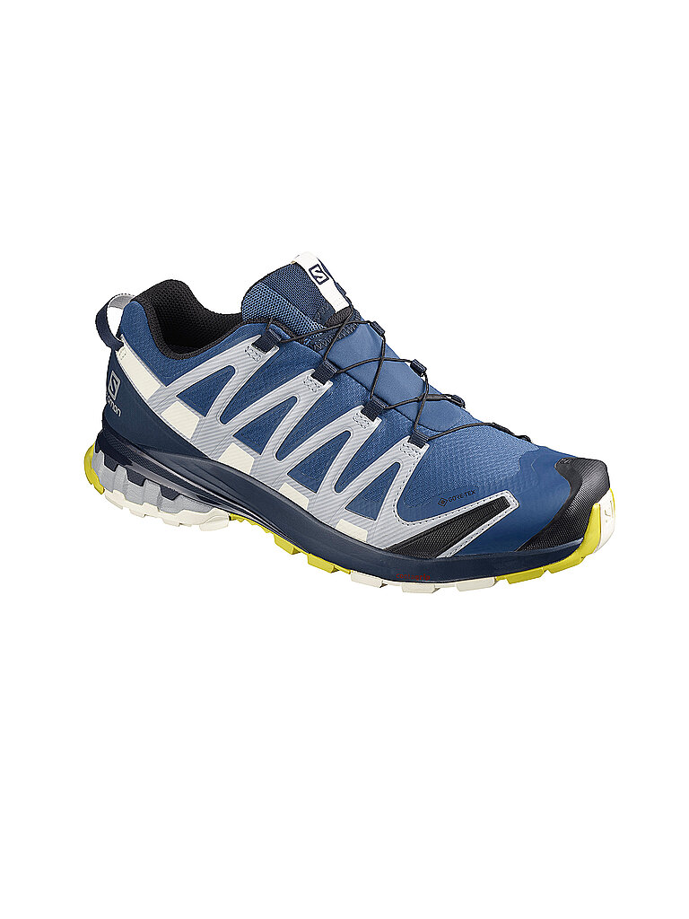 SALOMON Herren Traillaufschuhe XA Pro 3D V8 GTX blau | 40 2/3