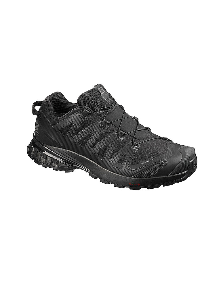 SALOMON Herren Traillaufschuhe XA Pro 3D V8 GTX schwarz | 41 1/3