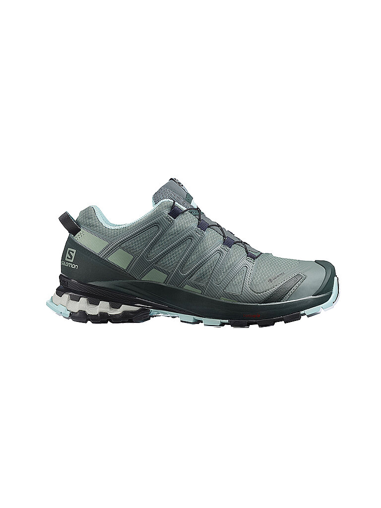 SALOMON Damen Traillaufschuhe XA Pro 3D V8 GTX grün | 37 1/3