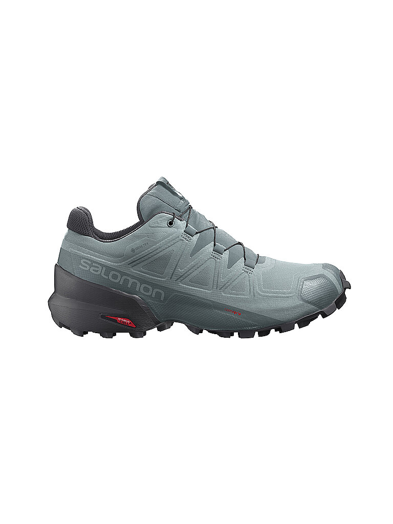 SALOMON Herren Traillaufschuhe Speedcross 5 GTX blau | 40 2/3