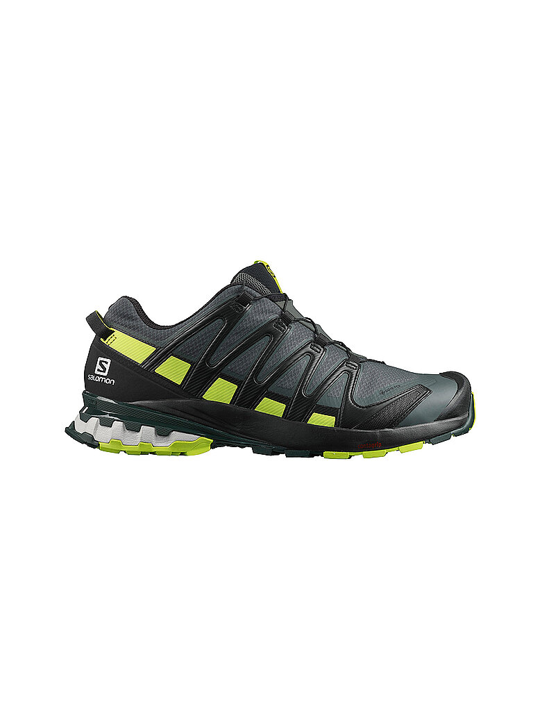SALOMON Herren Traillaufschuhe XA Pro 3D V8 GTX grau | 40 2/3